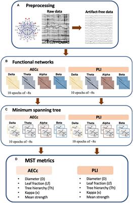 Associations between psychotropic drugs and rsEEG connectivity and network characteristics: a cross-sectional study in hospital-admitted psychiatric patients